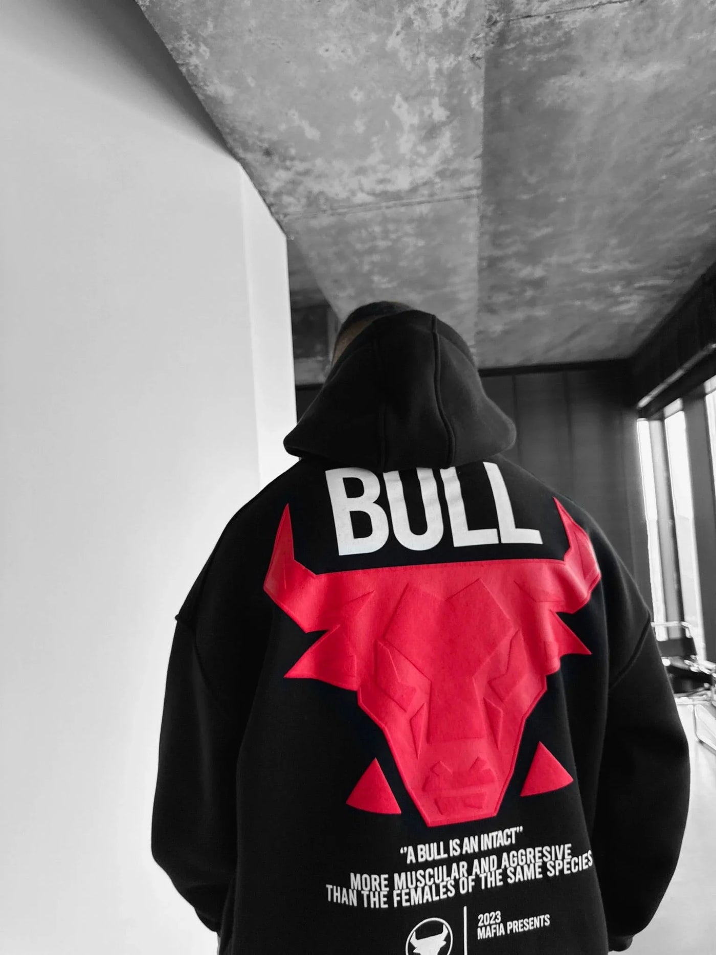 Oversized Bull Hoodie (Men)